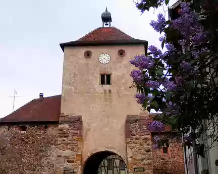 P4261493 Turckheim, ville fortifiée. Porte de Munster
