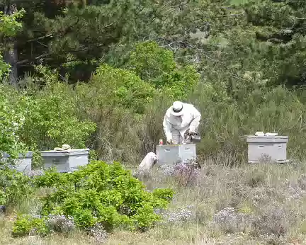 044 un apiculteur en plein travail avant Lardiers