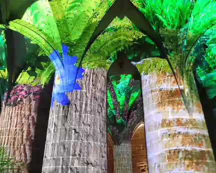 PXL094 la forêt des piliers (animation)