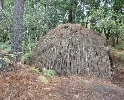 023 Une hutte dans la forêt