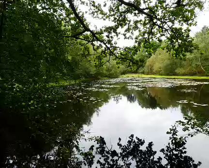 093 Un étang près de Montfort
