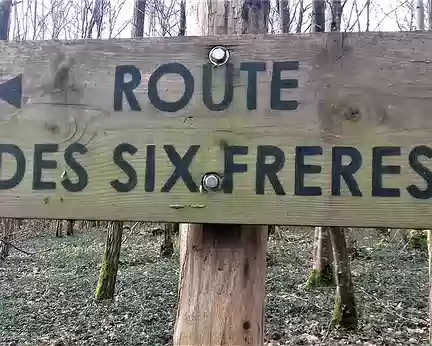 024 La Route des Six Frères, dans le Bois des Boissières, conduit au chêne remarquable du même nom
