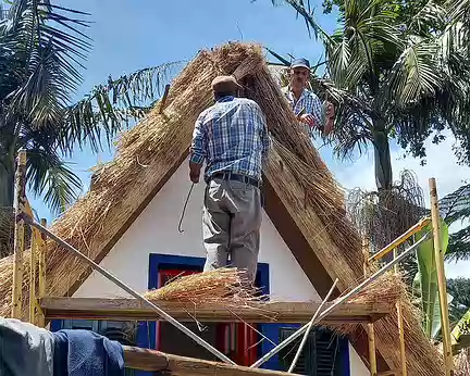 184 Construction d'une casa de colmo, maison traditionnelle