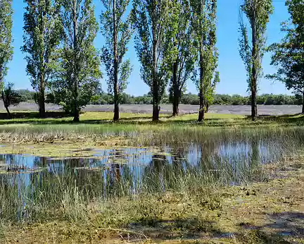 047 Lieu de pique-nique au bord d'un étang près du village de Revest-du-Bion