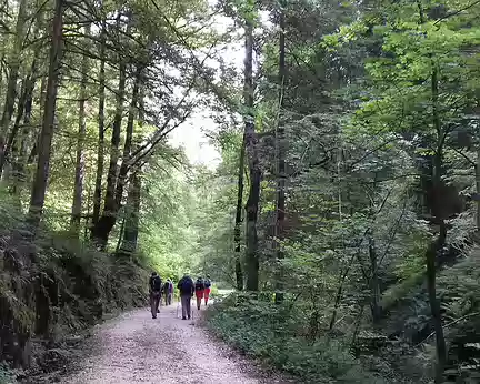 041 Départ du pont Chabert pour une randonnée vers le belvédère du Rivet par la forêt des Ecouges classée Espace Naturel Sensible