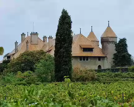 041 Château de Ripaille, entouré de son petit vignoble