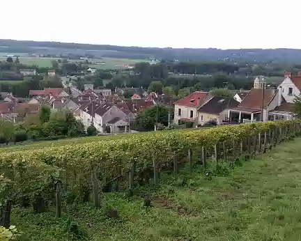 010 A Nanteuil, les vignes sont situées sur les coteaux de la rive droite de la Marne exposés au sud. Elles font partie du vignoble champenois