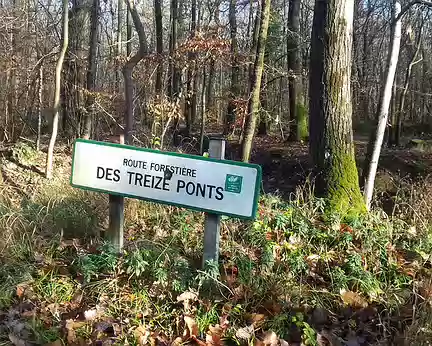 015 La route forestière des Treize Ponts