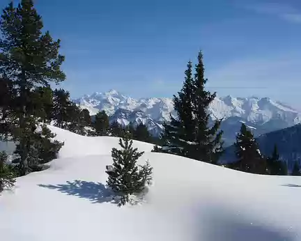 29 Au loin le massif du Mont-Blanc