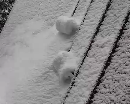 PXL015 neige roulée sur le toit de la cabane
