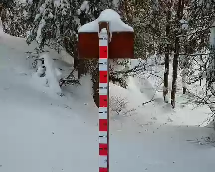 PXL035 La perche à neige accuse 0,95 m