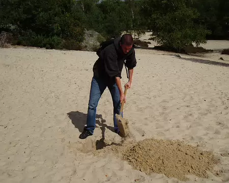 16 Olivier : opération, cachons les arvas.