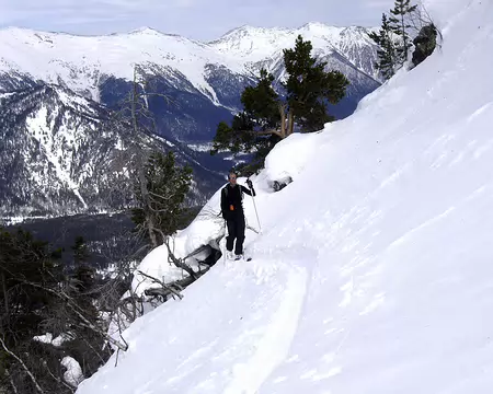 014 Olivier émerge de la forèt raide
