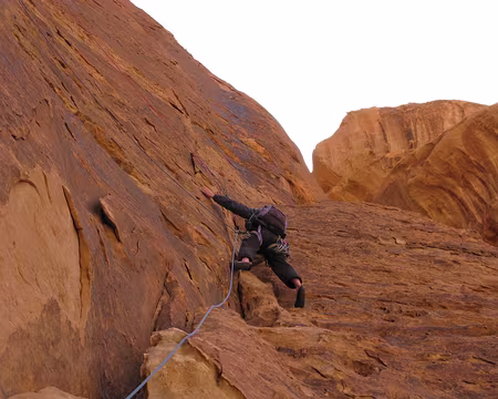 021 Réellement exposé, même en second.
