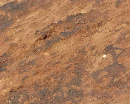 040 La texture du grès de Star of Abu Judaidah.