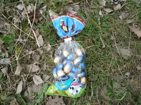 2009-04 RDV de Printemps