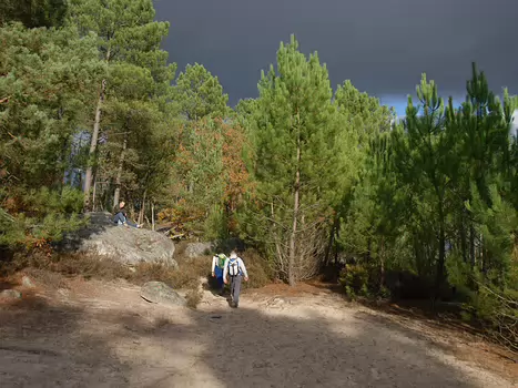 25 bosses - 8 nov 2009