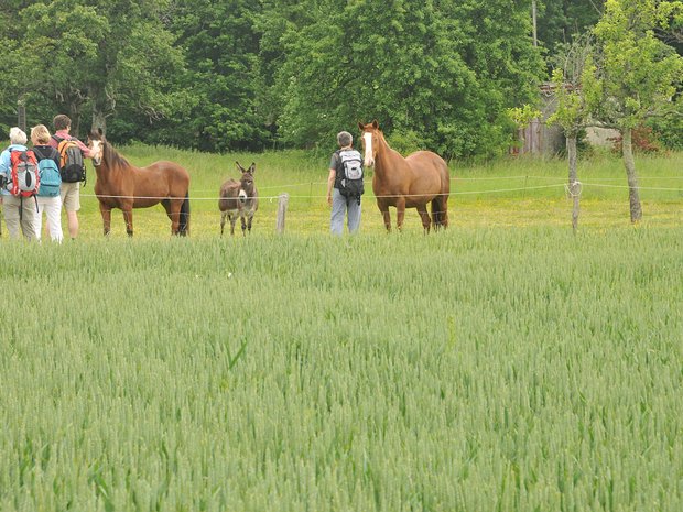 Dourdan - St-Remy 30 mai 2010