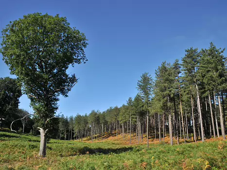 Houdan-Epernon - septembre 2010