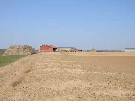Mennesy - La Ferte Allais 7 mars 2010