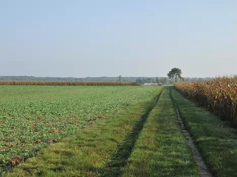 Sentiers chevrotins - 10 octobre 2010