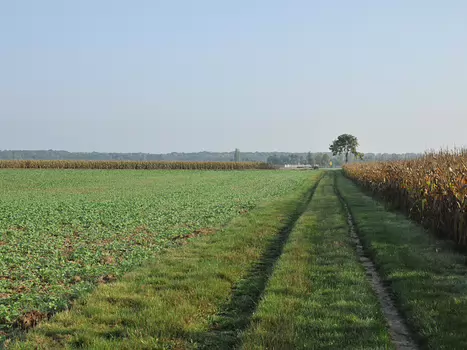 Sentiers chevrotins - 10 octobre 2010