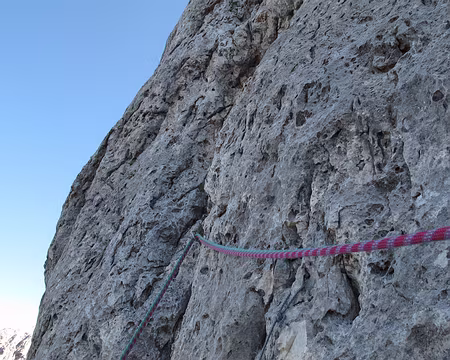 016 Protection sur lunule