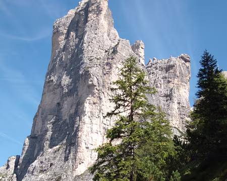 005 La Torre Venezia, 2337 mètres, parcourue en 2006 par la voie Andrich : TD, 5c max, 350 mètres.