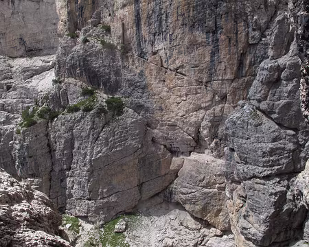 017 De vires en vires.