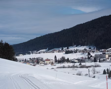 PXL002 Bois d'Amont.