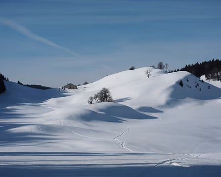 PXL028 Vers Malatrait