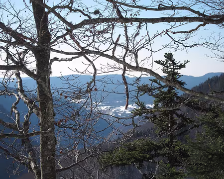 PXL032 Même vue en remontant