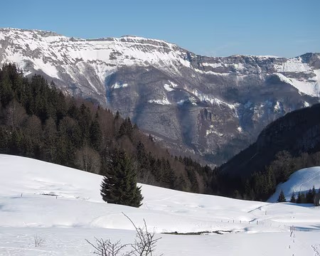 PXL033 Borne au Lion en fin d'après-midi
