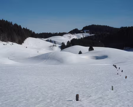 PXL036 J4 (Dalue-Grenotte) - Près de l'Anquerne