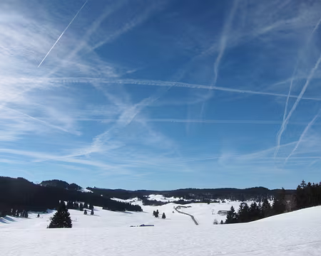 PXL039 Près de la Petite Molune