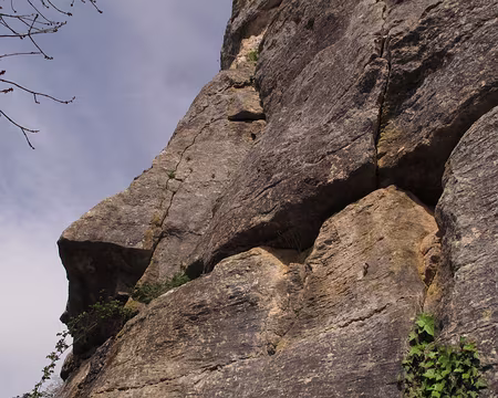 009 Saffres, “la Ric”, 5c