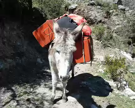 PXL028 content d'être au bout du chemin...