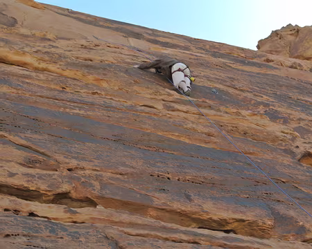 014 Avant de réaliser un pied-main obligatoire
