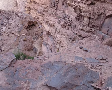 007 L’exposition invite à trouver un tout autre cheminement