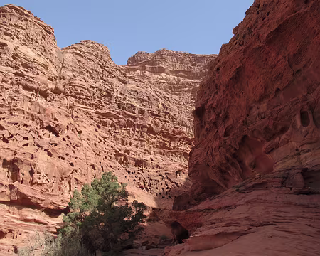 013 .Débouché sur un immense cirque nord-sud dominant un arbre caractéristique précédant un court mur à droite en 3c