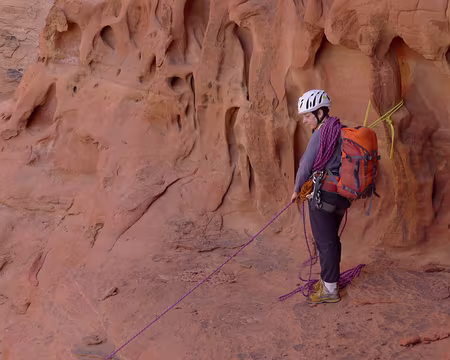 015 Assuré par Véronique sur lunule