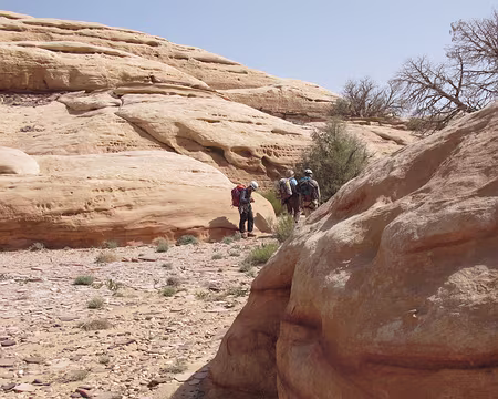 035 Plateau où se retrouvent mes indifférents compagnons