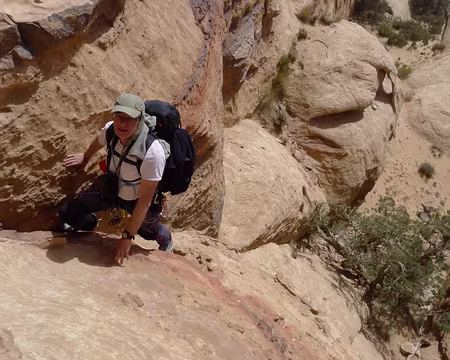 038 Arbre gênant l’accès à la fissure en 3, mais précieux repère à l’extrémité d’un fin canyon