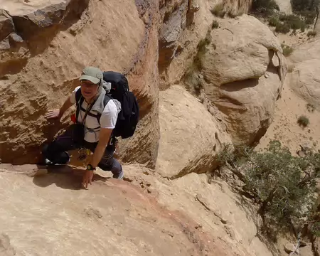 038 Arbre gênant l’accès à la fissure en 3, mais précieux repère à l’extrémité d’un fin canyon