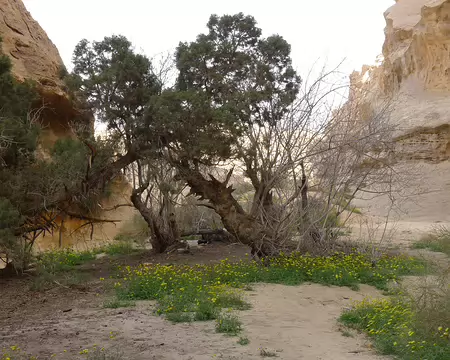 000 Départ du bivouac