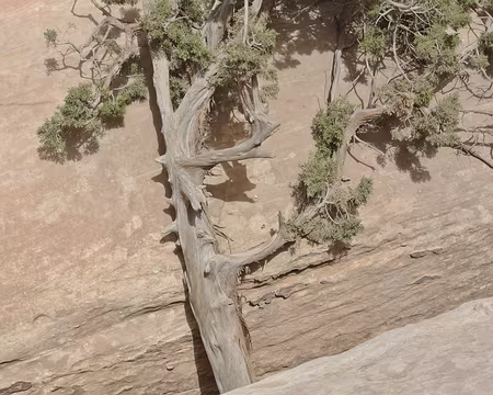 007 La branche qui autorise de basculer sur le mur opposée s’avérera cassée