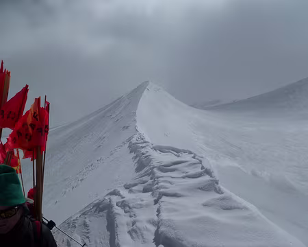 PXL027 J'adore celle là!