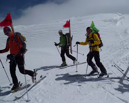 PXL029 Des elfes de toutes les couleurs courent la montagne.