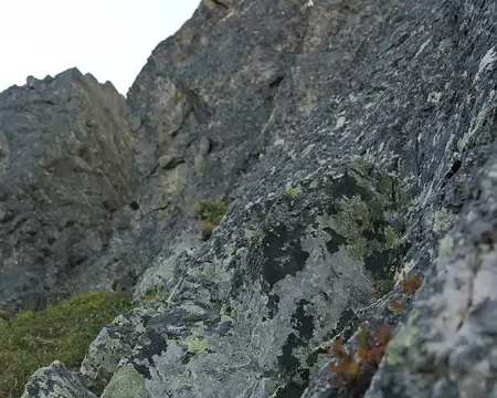 007 Les premières longueurs – L1 5c, L2 6a, L3 6a - sont humides et glissantes (orage la veille)