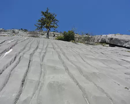 006 L4: pieds et mains à plat au départ, un pas de 6a puis 5b